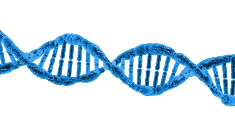 DNA Privacy